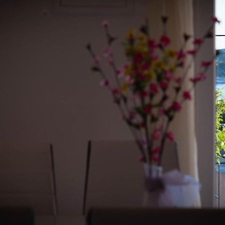 Apartments Nakic シベニク エクステリア 写真